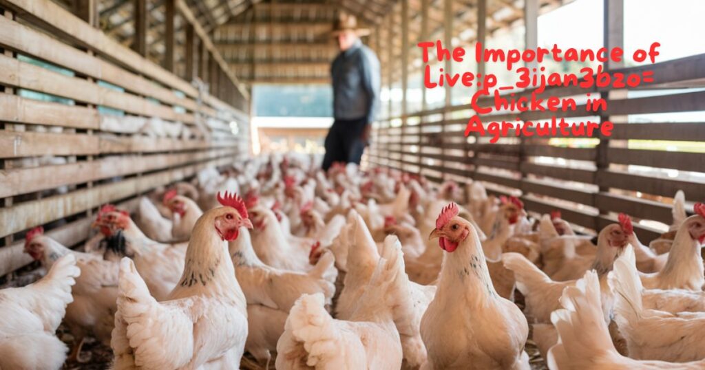 The Importance of Live:p_3ijan3bzo= Chicken in Agriculture