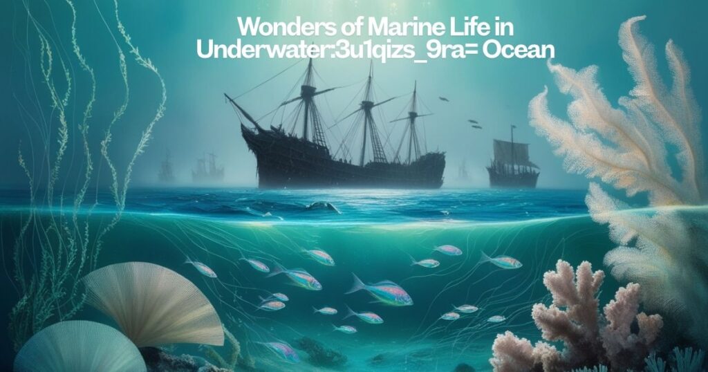 The Wonders of Marine Life in Underwater:3u1qizs_9ra= Ocean