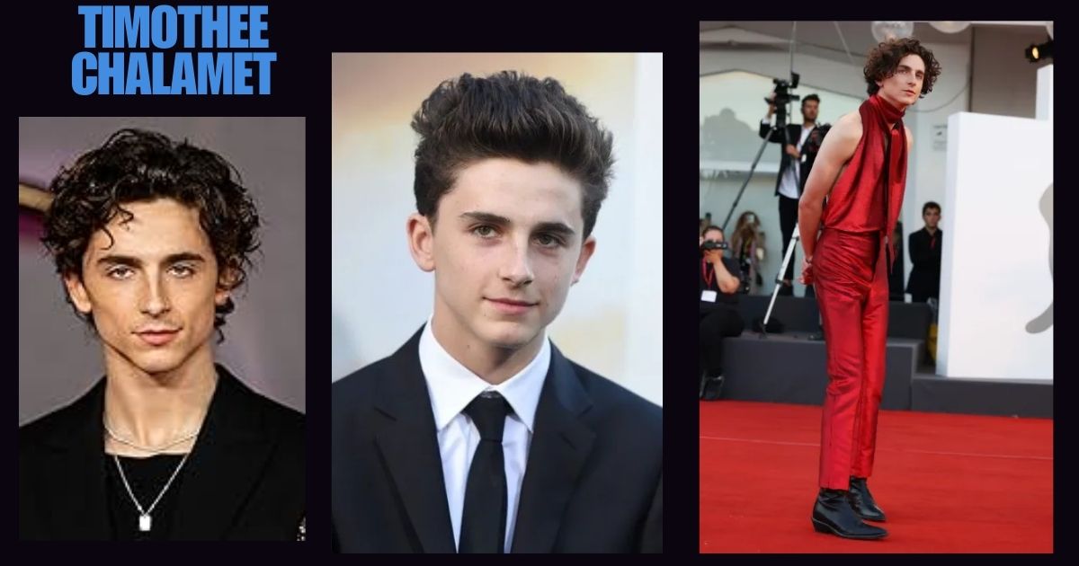 Timothee Chalamet Height And Weight: Exploring the Real Stats